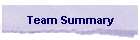 Team Summary